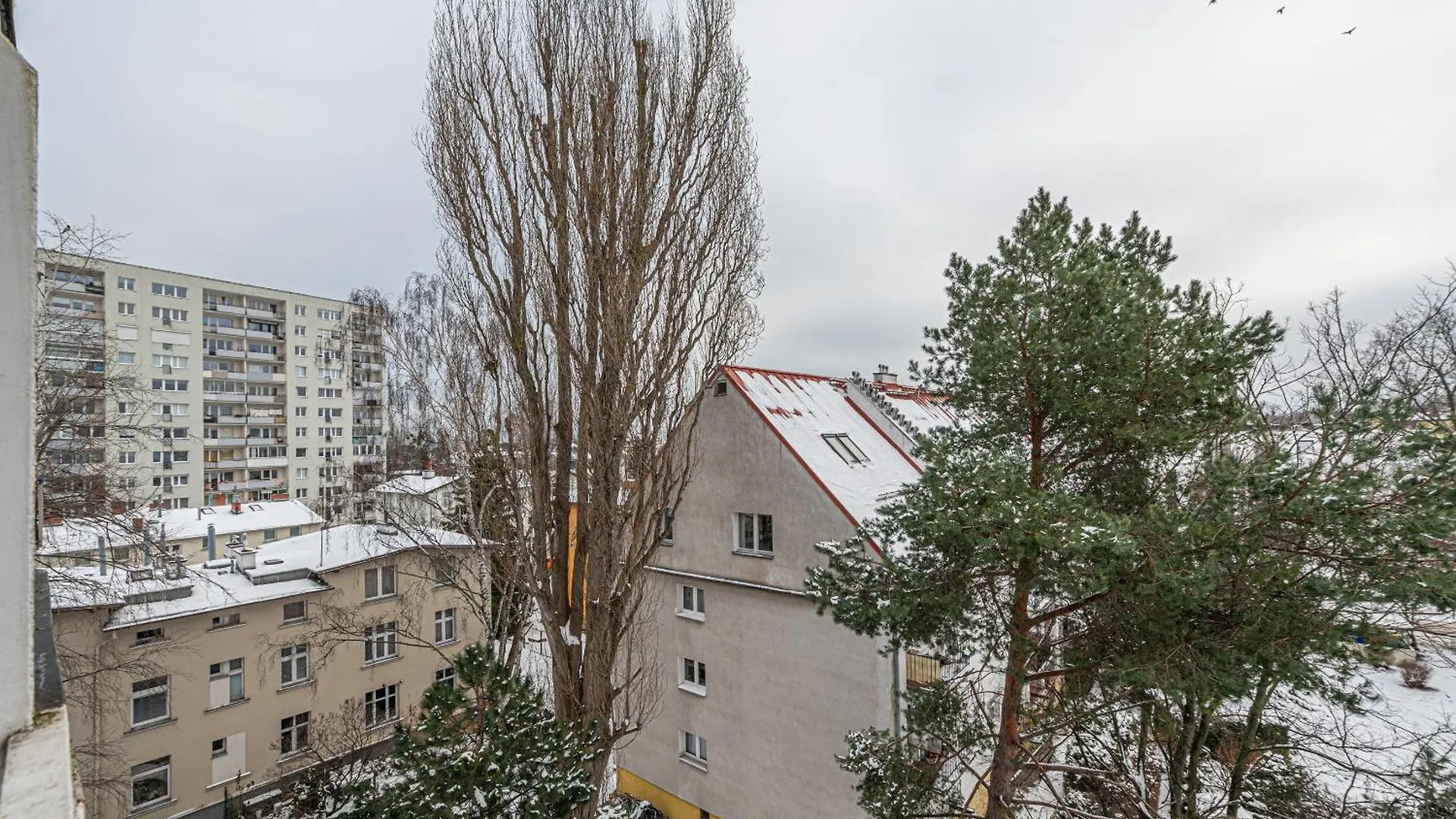 Green Leaf - Billberry Apartments Sopot